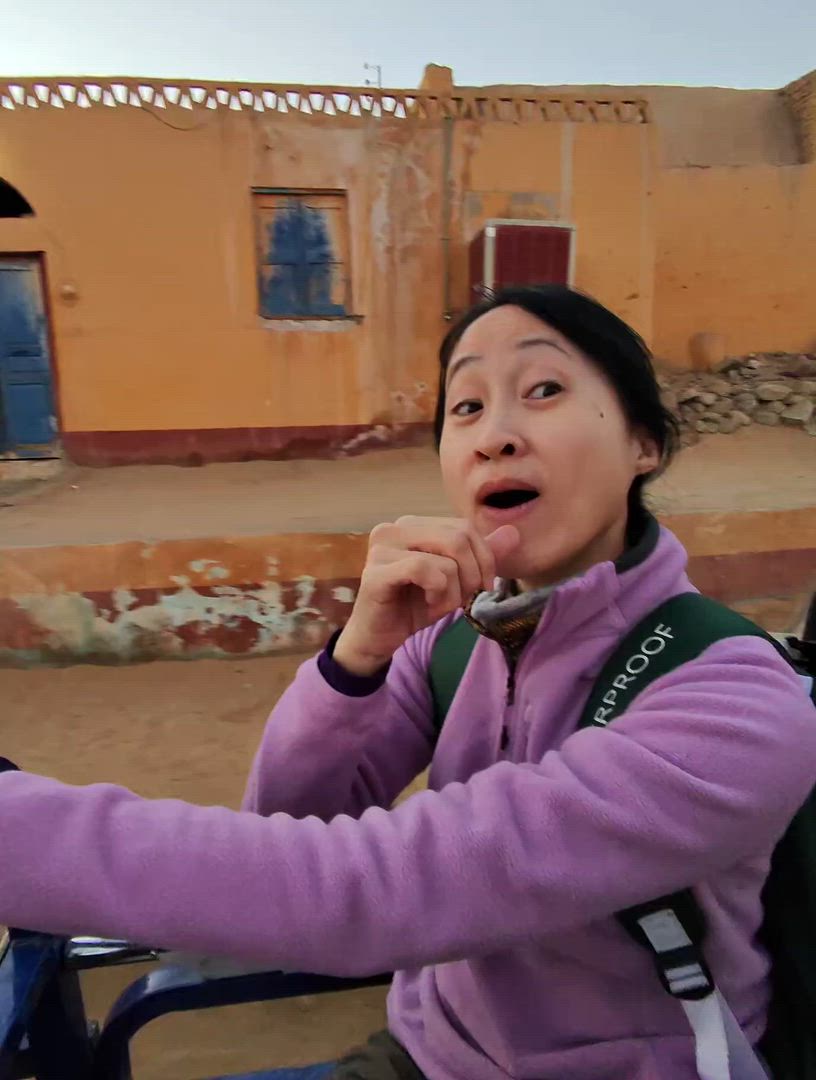 8 jours Pyramides (visite GEM) et croisière sur le Nil Assouan - Abou Simbel - Louxor - Hurghada customer review video