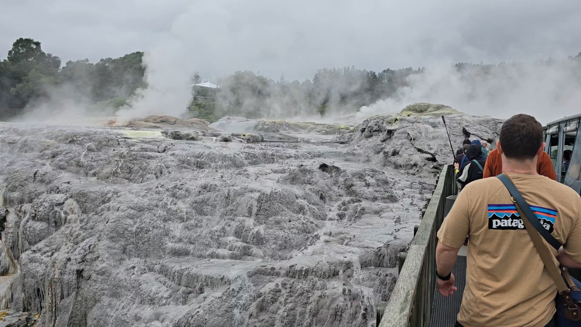 New Zealand Vista (Base, 2024/2025, meilleures offres, 14 jours) customer review video 