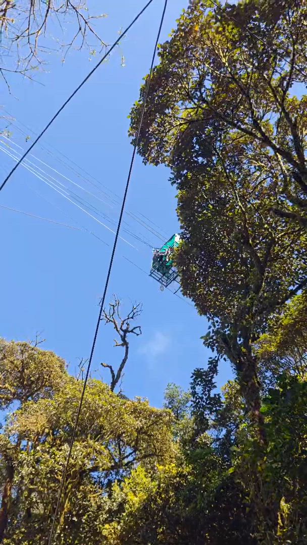 Real Guatemala to Costa Rica customer review video