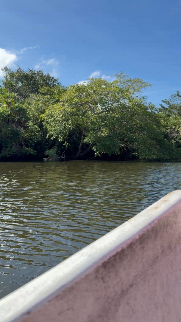 Terre de Belize et Tikal customer review video