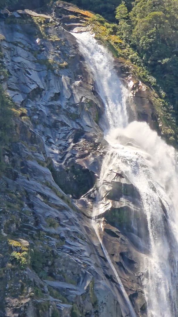 New Zealand Vista (Base, 2024/2025, meilleures offres, 14 jours) customer review video 