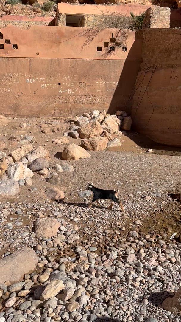 Circuit de 3 jours en groupe dans le désert, de Marrakech au camp de Merzouga customer review video