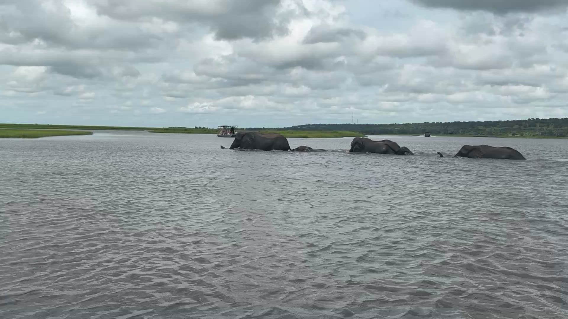 Le meilleur de l'Afrique du Sud (avec les chutes Victoria) customer review video 