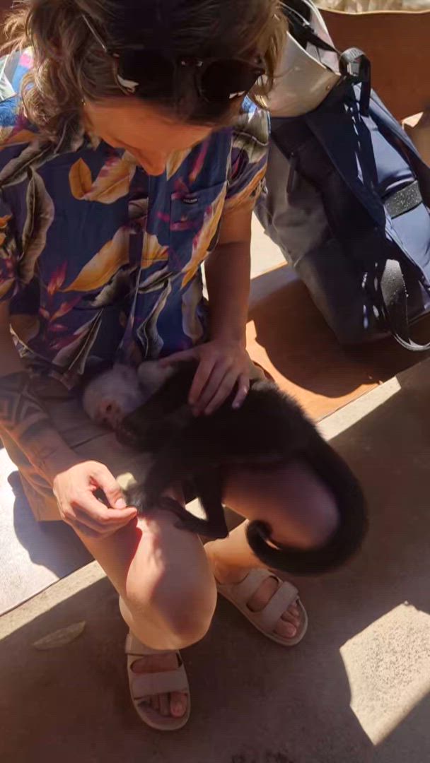 Real Guatemala to Costa Rica customer review video