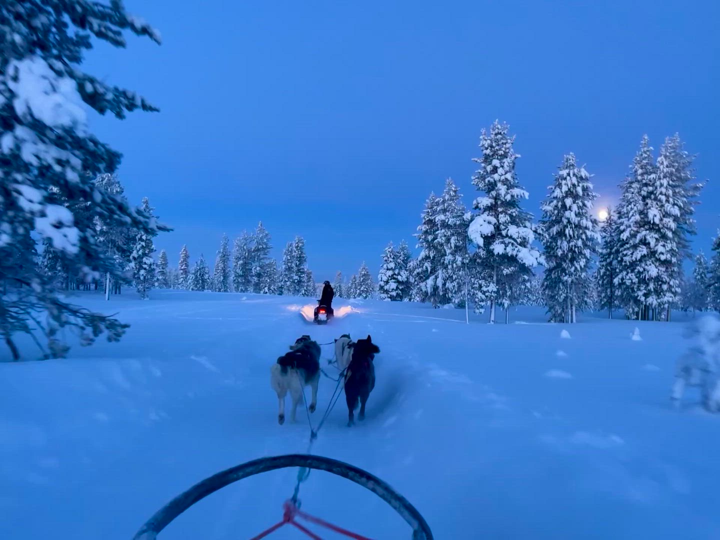 Lapland Highlights customer review video