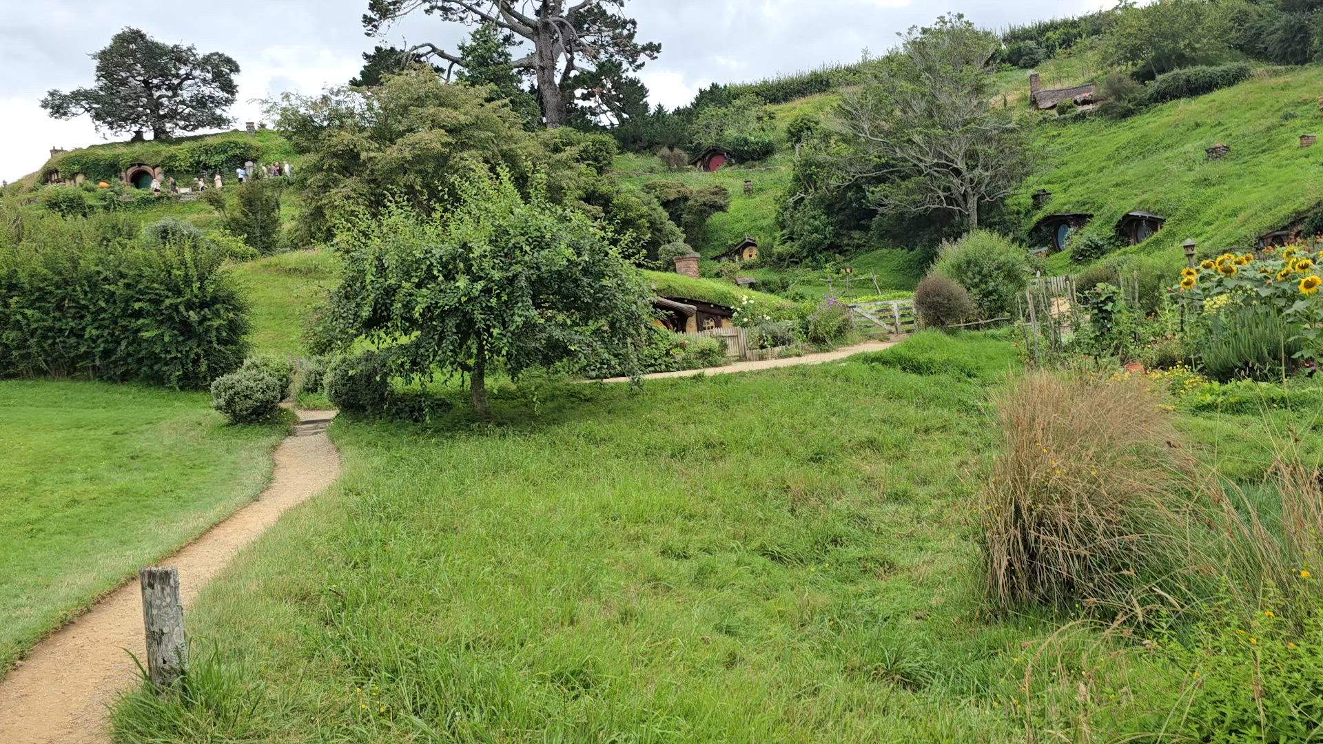 New Zealand Vista (Base, 2024/2025, meilleures offres, 14 jours) customer review video 