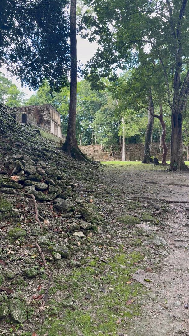 Terre de Belize et Tikal customer review video