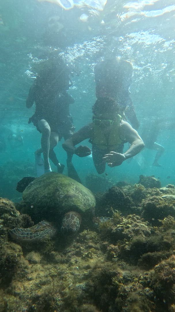 7 jours de découverte des Visayas : Boracay Bliss, Cebu Adventures et Bohol Countryside Escape customer review video