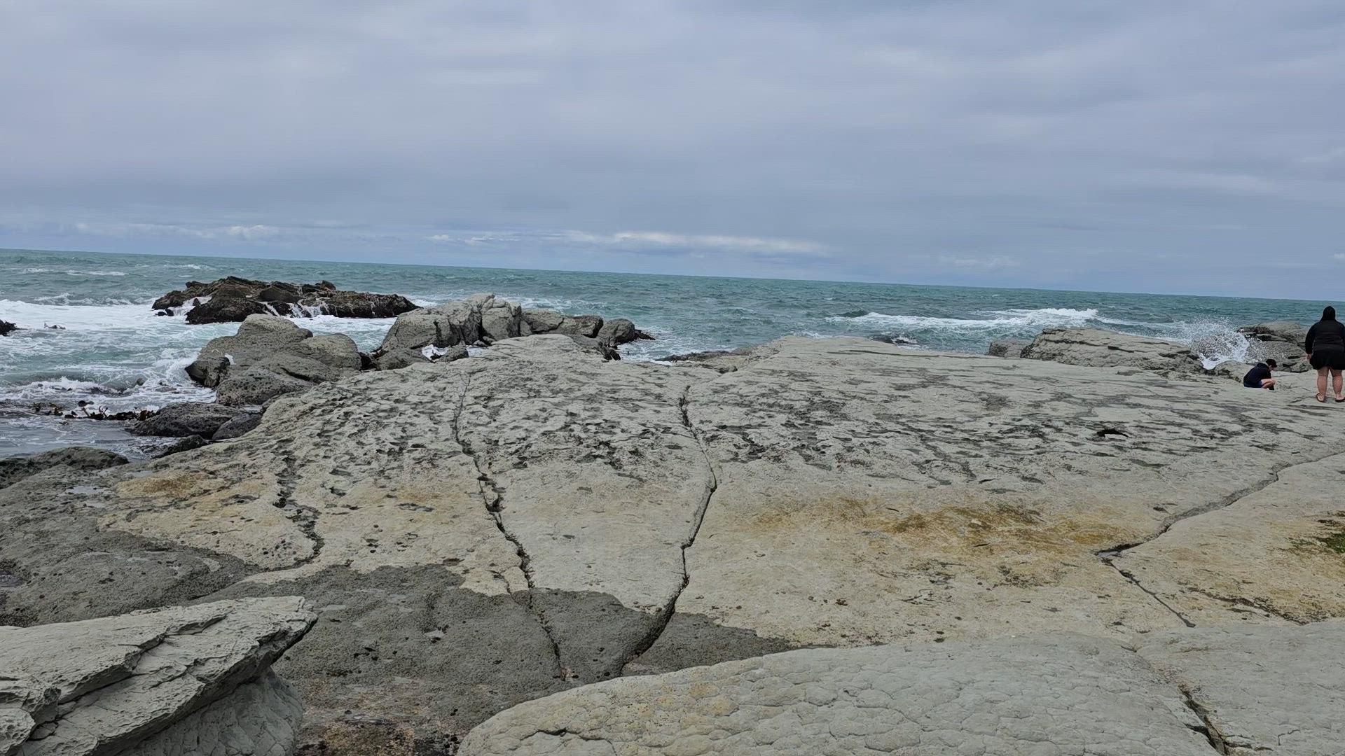 New Zealand Vista (Base, 2024/2025, meilleures offres, 14 jours) customer review video 