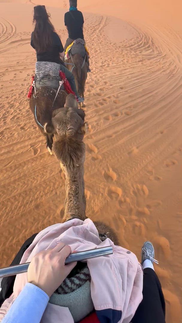 Circuit de 3 jours en groupe dans le désert, de Marrakech au camp de Merzouga customer review video
