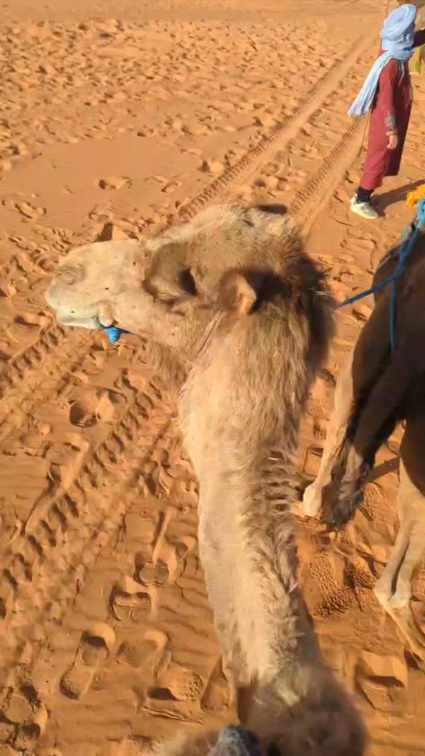 Circuit de 3 jours en groupe dans le désert, de Marrakech au camp de Merzouga customer review video