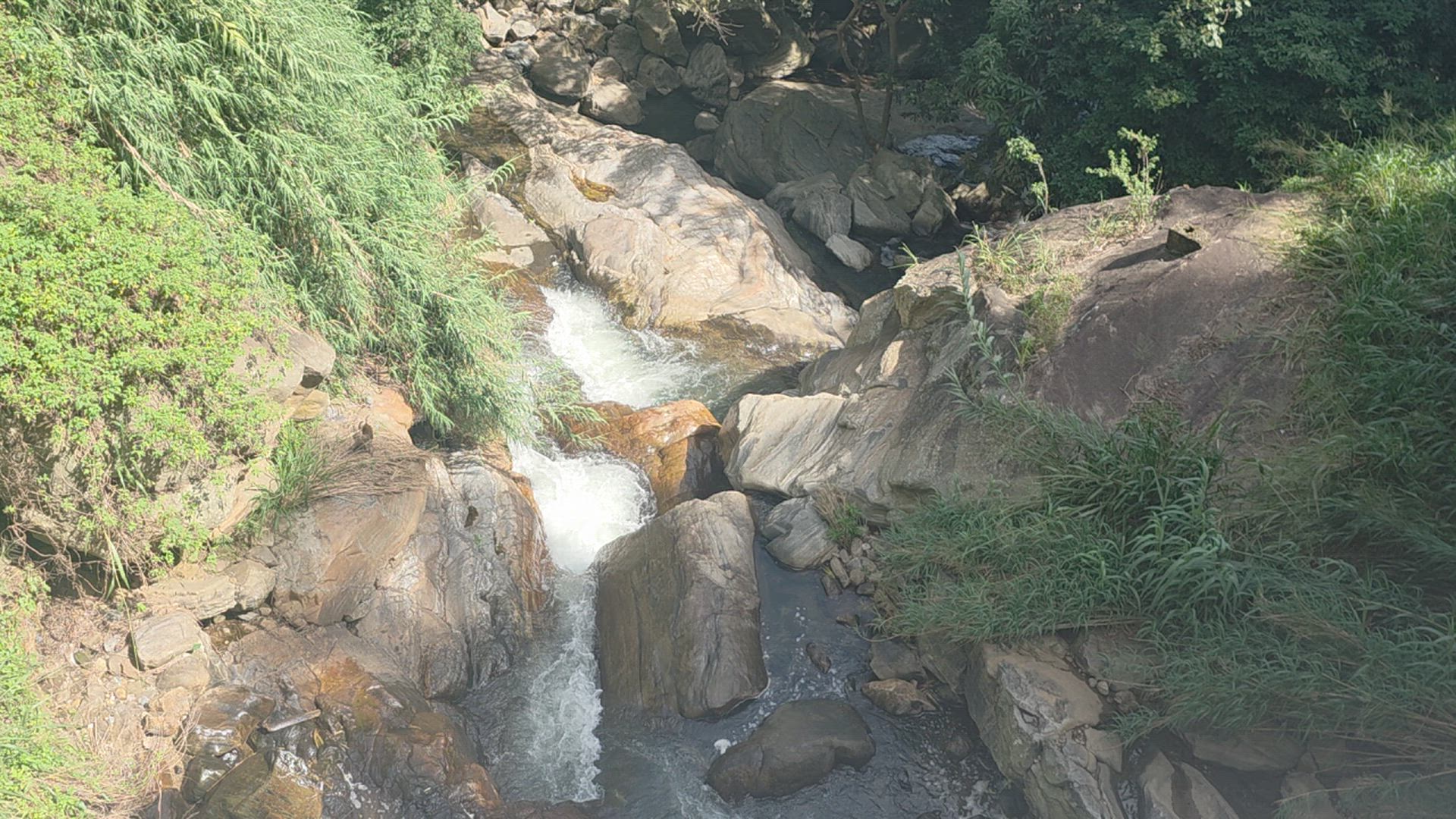 Vídeo de reseña del cliente sobre Camino soñado de Sri Lanka