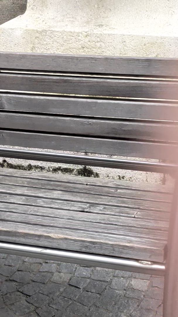 video met klantbeoordeling van 6 dagen Wenen, Salzburg, Boedapest, Bratislava&amp;de Donauvallei