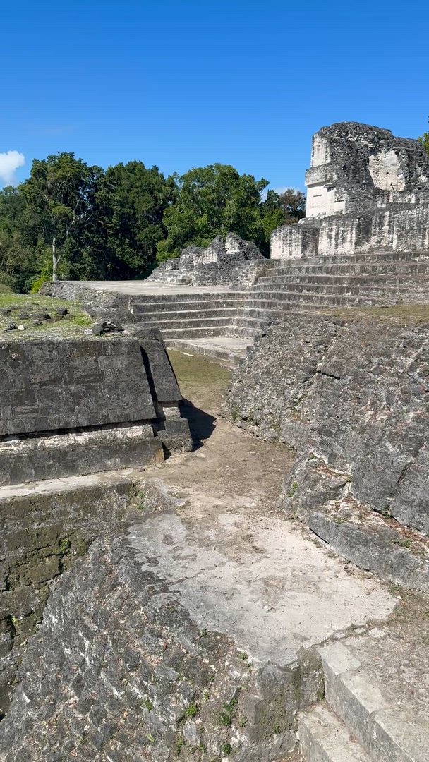 Terre de Belize et Tikal customer review video