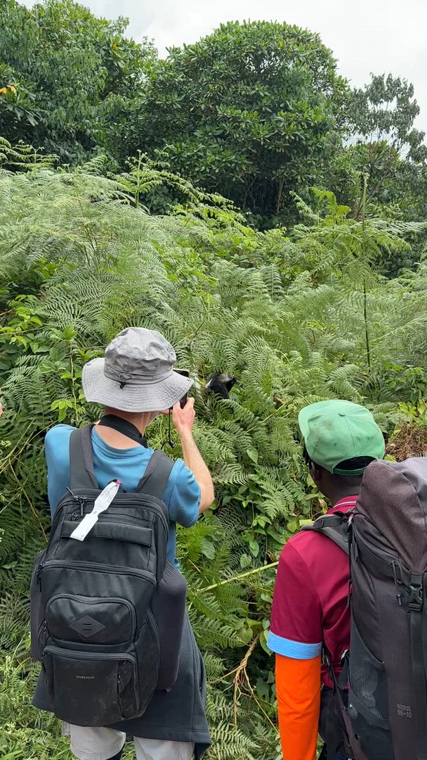 7 Days Lemosho Route Kilimanjaro Climb customer review video