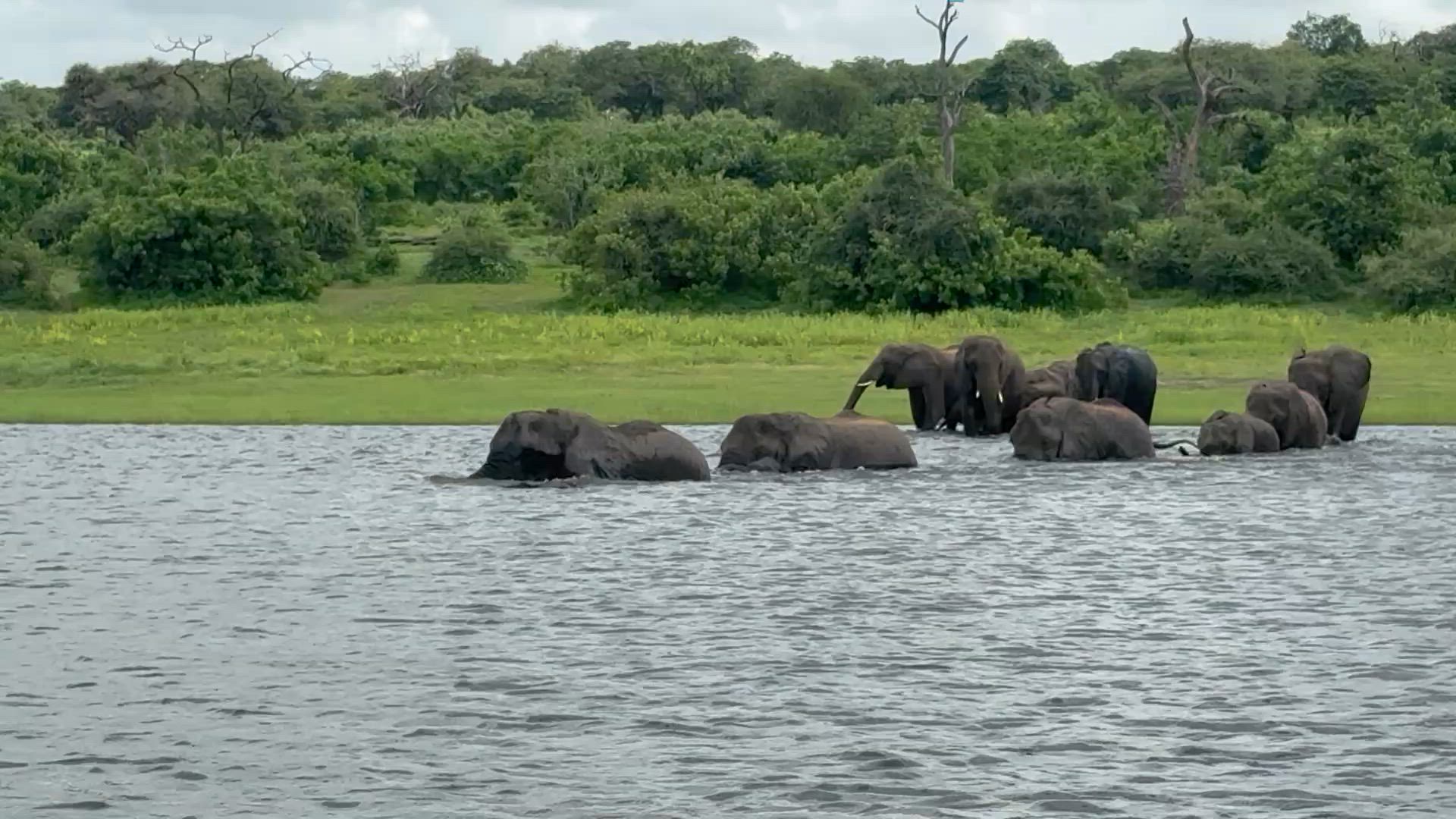 Le meilleur de l'Afrique du Sud (avec les chutes Victoria) customer review video 