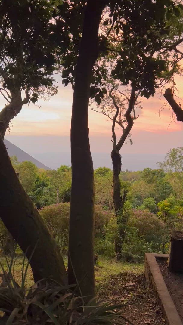 Real Guatemala to Costa Rica customer review video