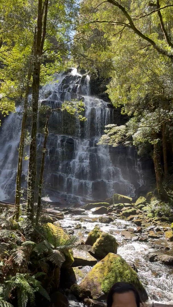 video met klantbeoordeling van Famous 5 - een rondreis door Tasmanië - 5 dagen