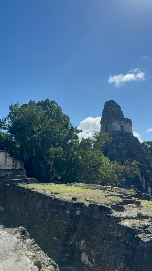 Terre de Belize et Tikal customer review video